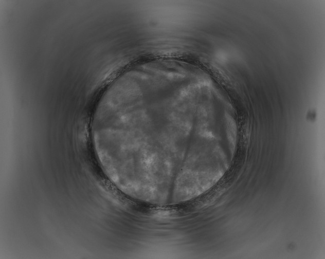 X0000092090746200710101101