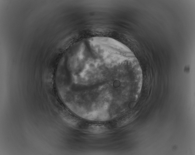 X0000092090749200710101101