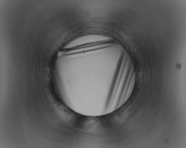 X0000092090750200710101101