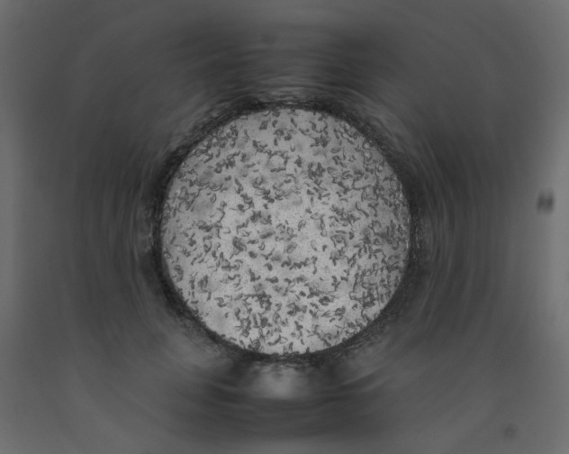 X0000092090751200710101101