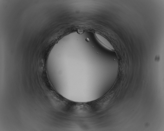X0000092090752200710101101
