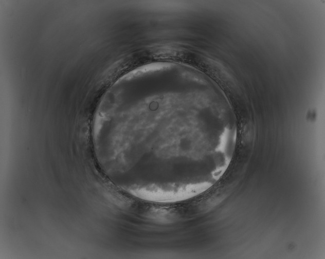 X0000092090753200710101101
