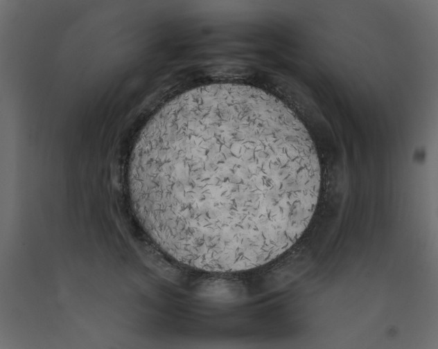 X0000092090755200710101101