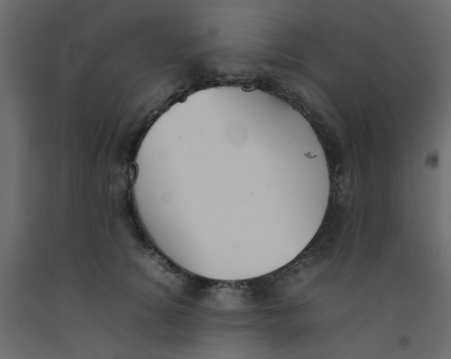 X0000092090756200710101101