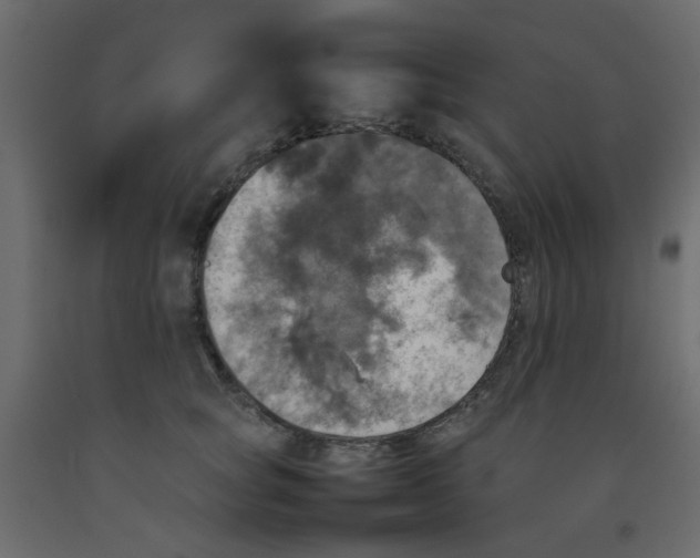 X0000092090757200710101101