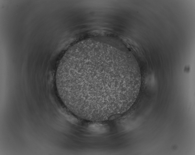 X0000092090759200710101101