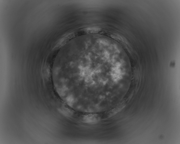 X0000092090761200710101101