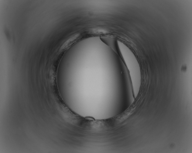X0000092090762200710101101