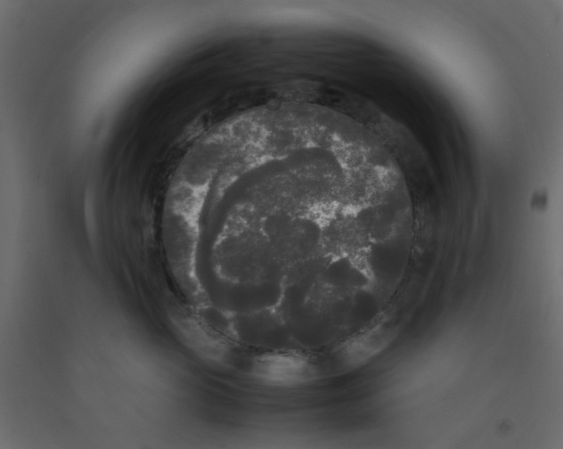 X0000092090765200710101101