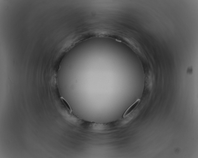 X0000092090766200710101101