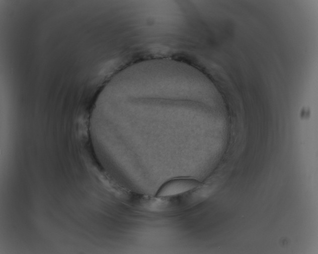 X0000092090768200710101101