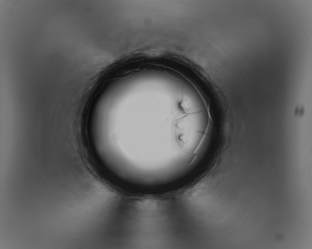 X0000092090769200710101100