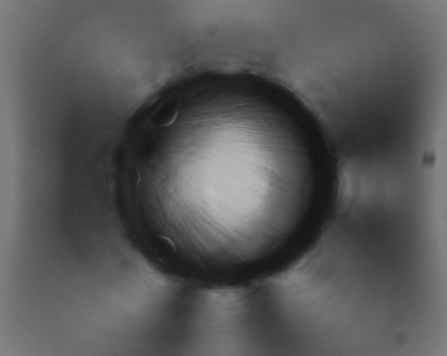 X0000092090770200710101100