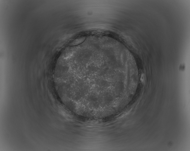 X0000092090771200710101100
