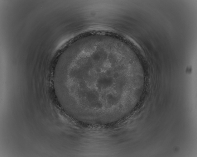 X0000092090775200710101100