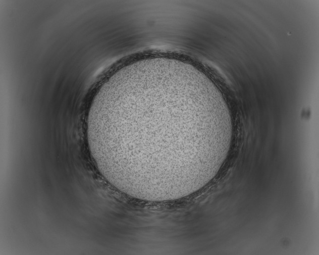 X0000092090776200710101100