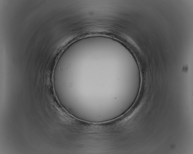 X0000092090777200710101100