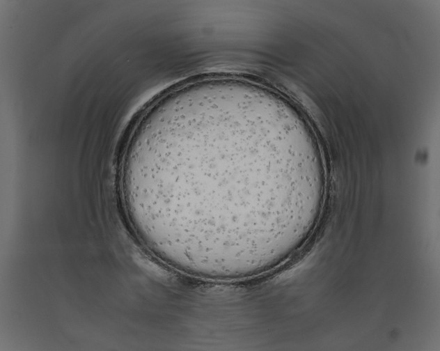 X0000092090779200710101100