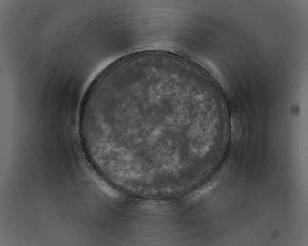 X0000092090780200710101100