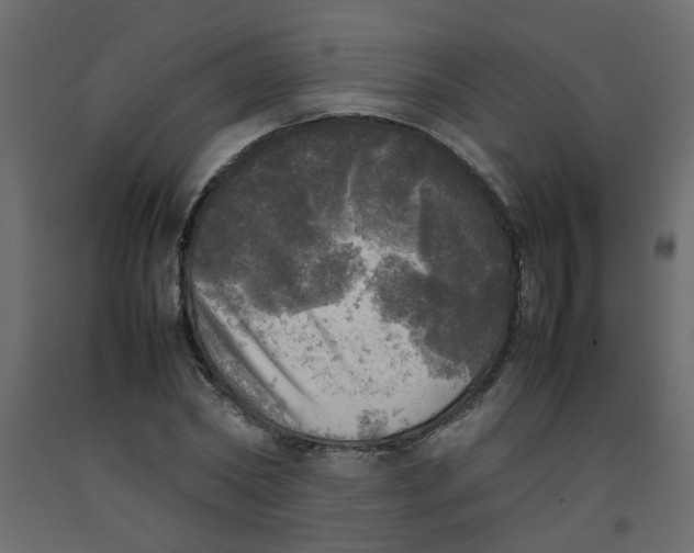 X0000092090782200710101100