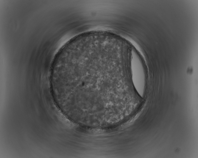 X0000092090783200710101100