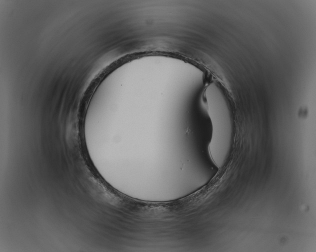 X0000092090784200710101100