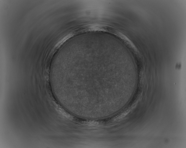 X0000092090785200710101100