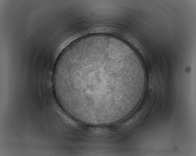 X0000092090786200710101100