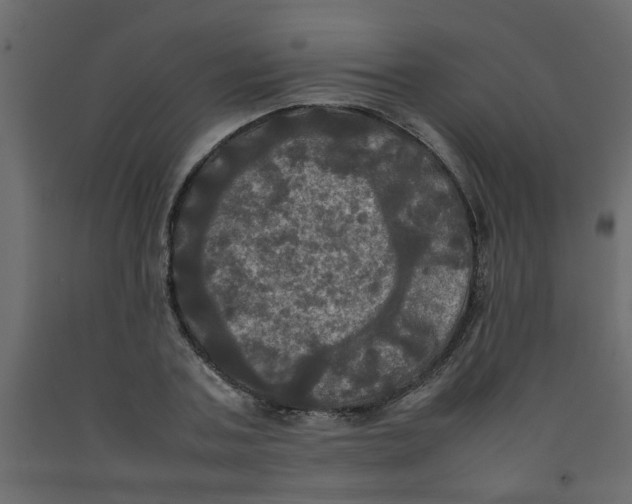 X0000092090787200710101100