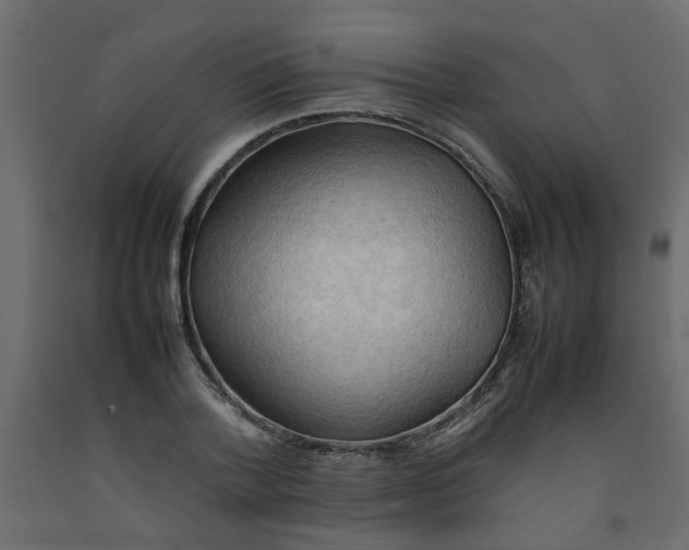 X0000092090788200710101100