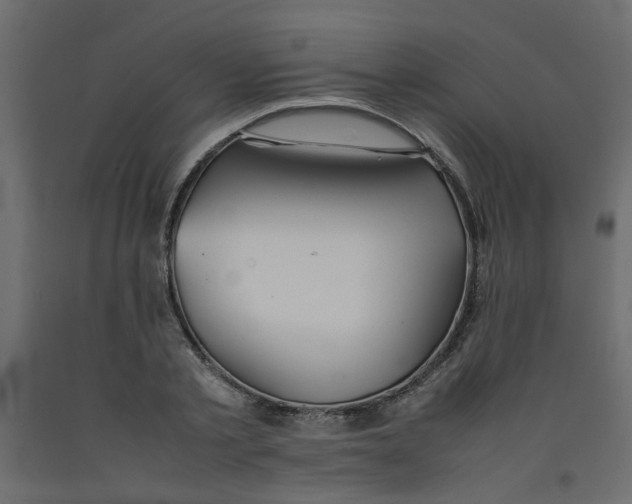 X0000092090789200710101100