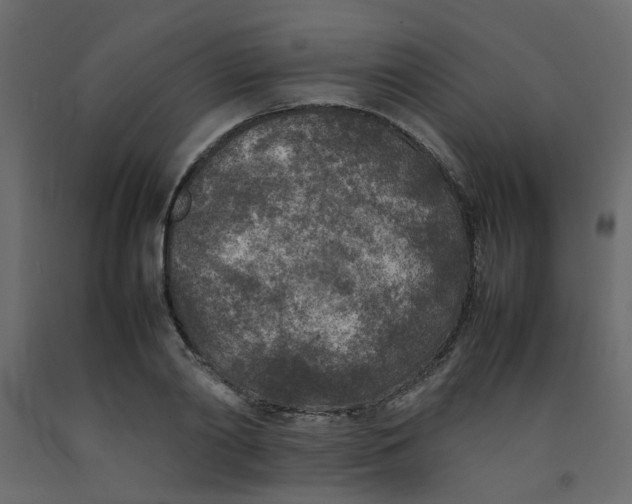 X0000092090790200710101100