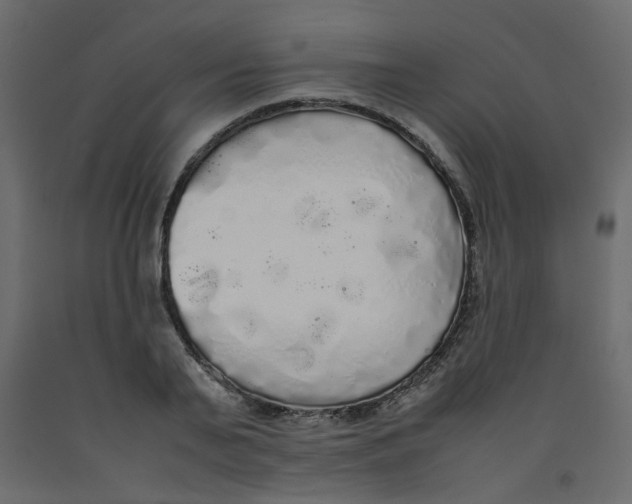 X0000092090791200710101100