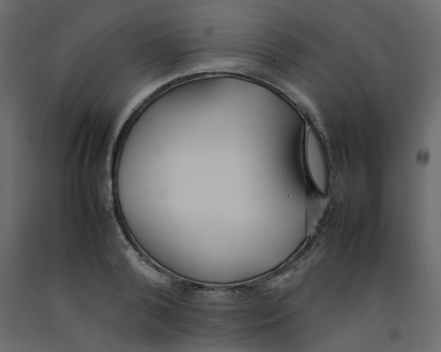 X0000092090792200710101100