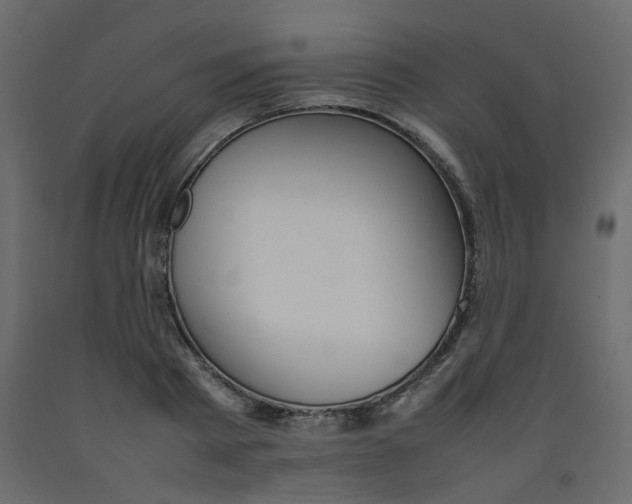 X0000092090793200710101100