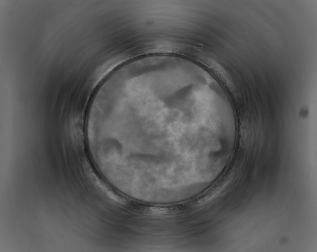 X0000092090794200710101100
