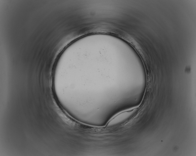 X0000092090795200710101100