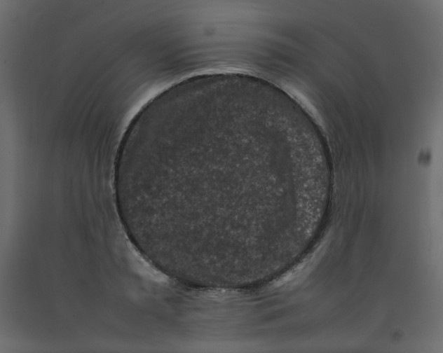 X0000092090797200710101100