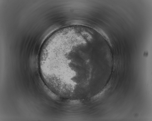 X0000092090798200710101100