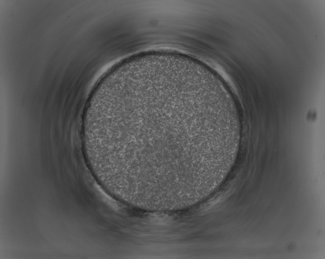 X0000092090799200710101100