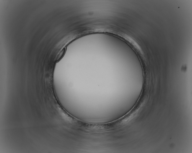 X0000092090801200710101100