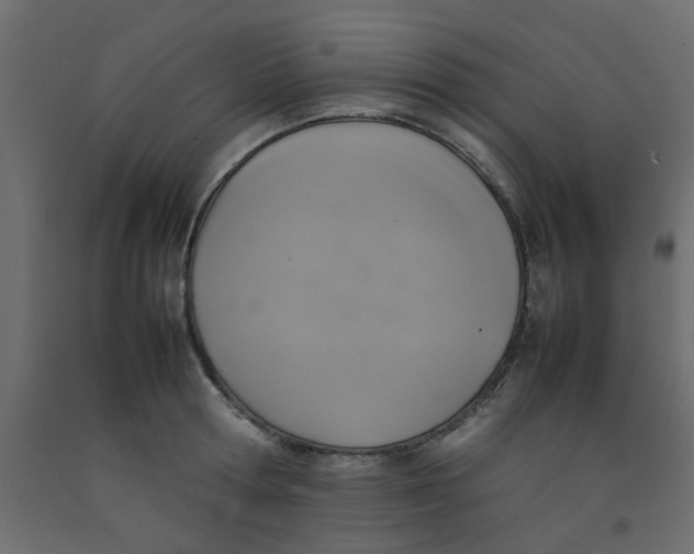 X0000092090802200710101100