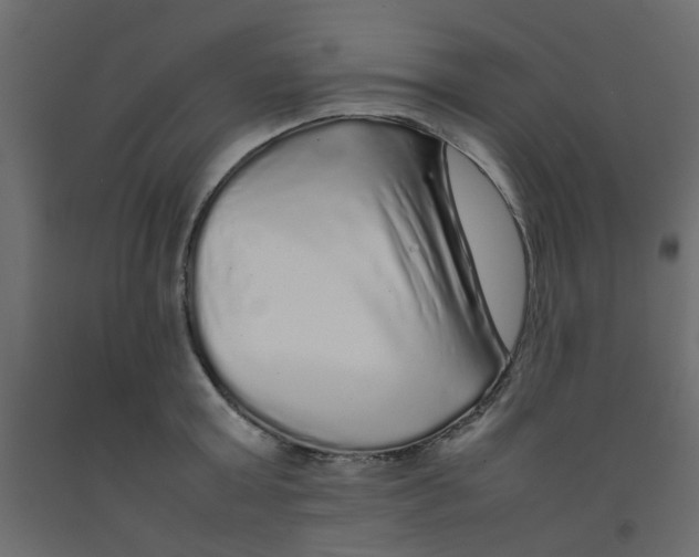 X0000092090803200710101100