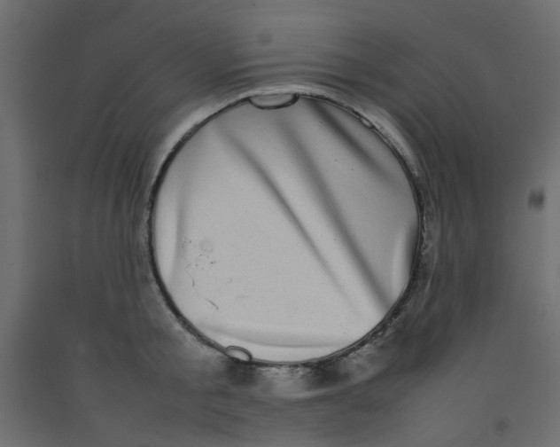 X0000092090805200710101100