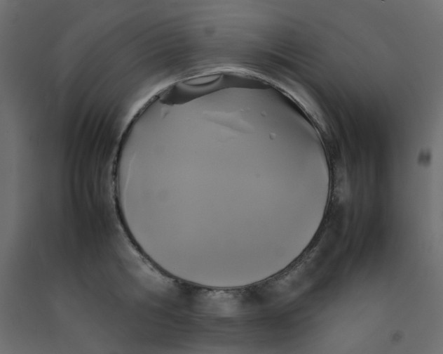 X0000092090806200710101100