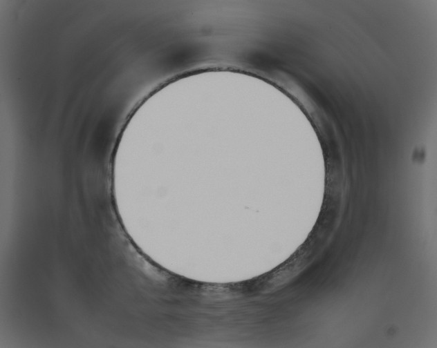 X0000092090807200710101100