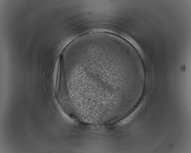 X0000092090809200710101100
