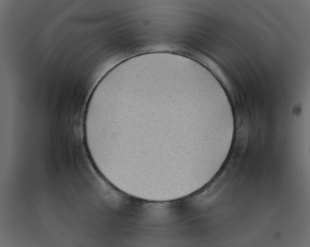 X0000092090810200710101100