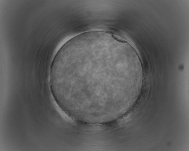 X0000092090811200710101100