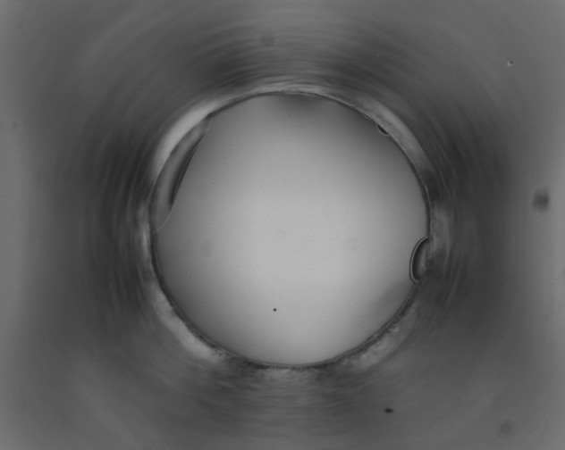 X0000092090812200710101059